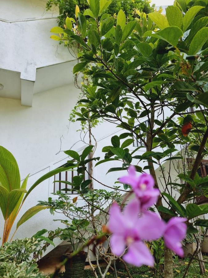 Sandil Surf House Ahangama Εξωτερικό φωτογραφία